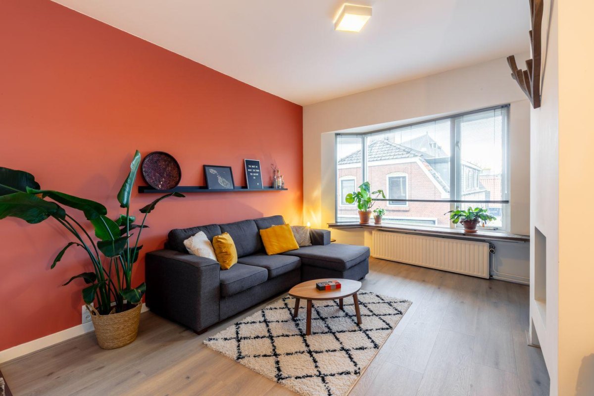 Gemütliches Wohnzimmer mit Farbe